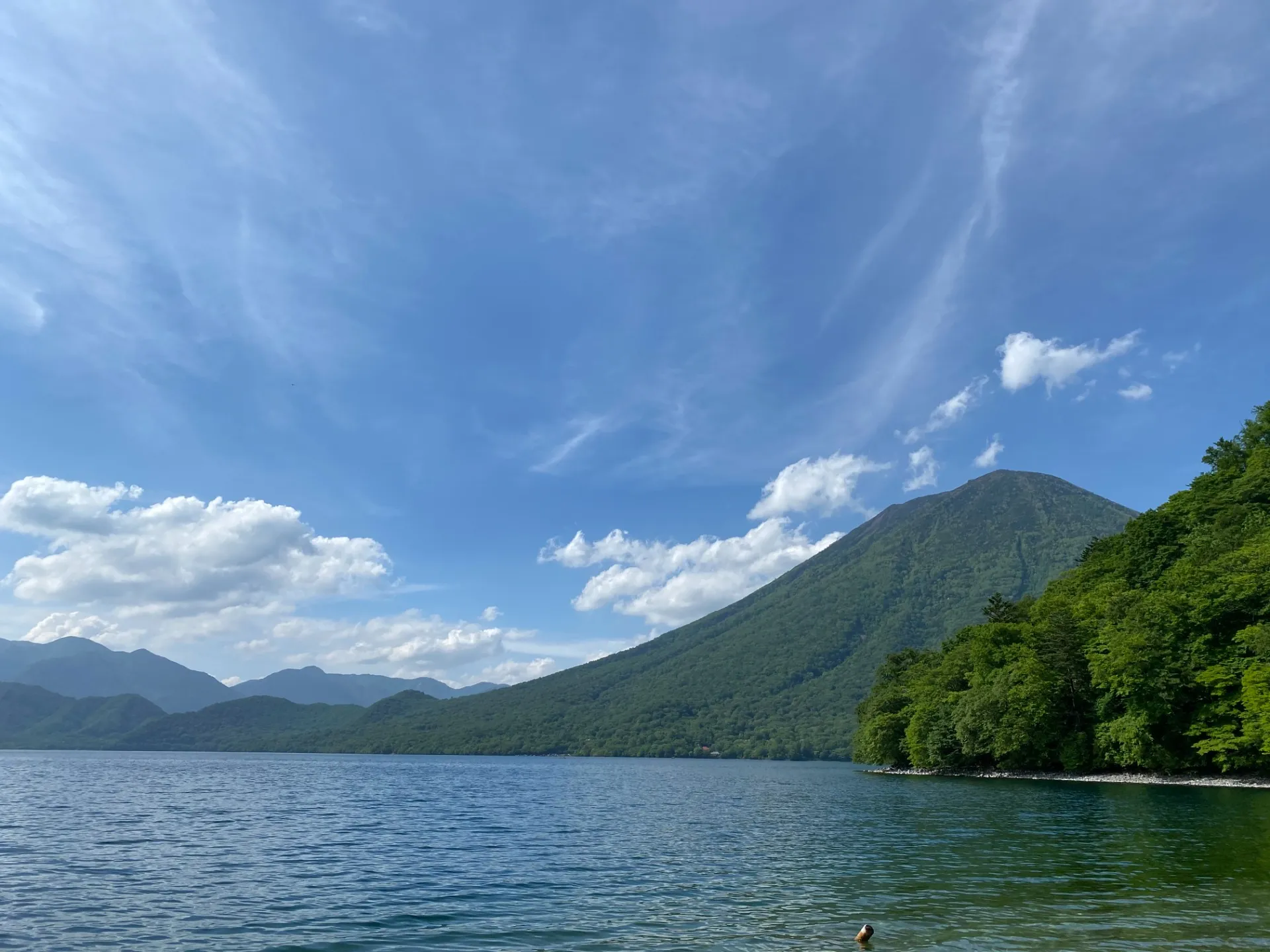 夏